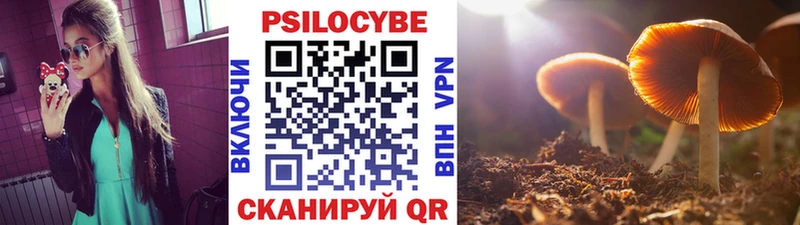 дарнет шоп  Северобайкальск  Псилоцибиновые грибы Magic Shrooms 